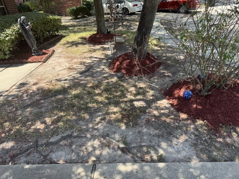 Second landscape bed maintenance and mulch installation project