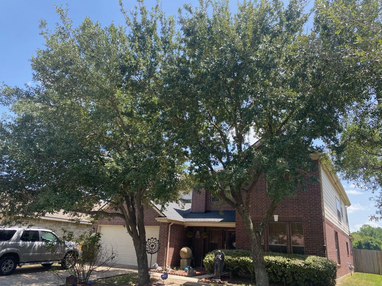 Tree trimming project by All Pro Landscape
